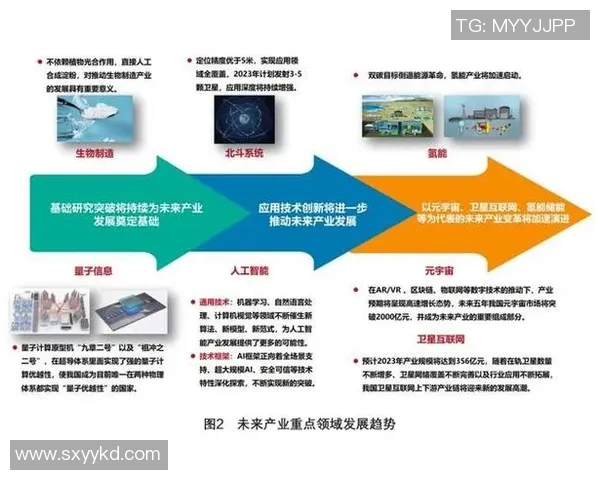 深圳排球队在杯赛中的技术表现分析与未来展望