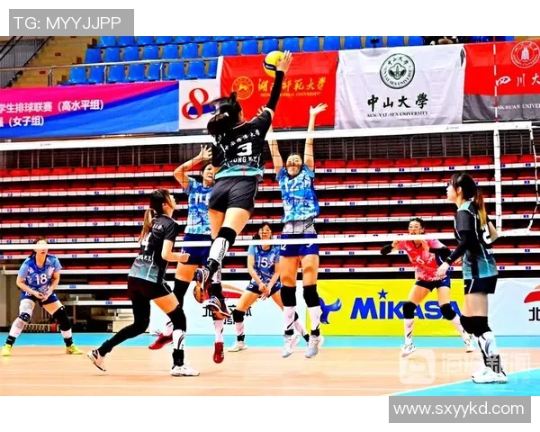 深圳排球队比赛经验革新引发热议助力球队未来发展